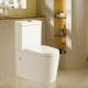 Ladoga Toilet and Cistern 